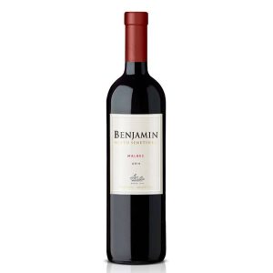 Vino Malbec Benjamín Nieto